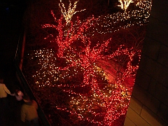 018 Toledo Zoo Light Show [2008 Dec 27]